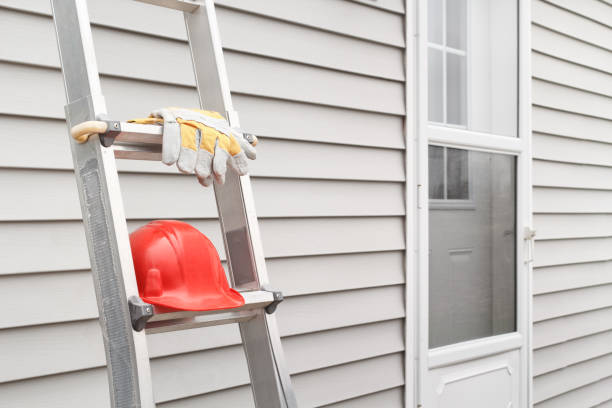 Best Custom Trim and Detailing for Siding  in Oakes, ND