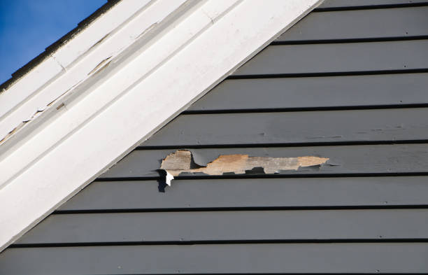 Best Storm Damage Siding Repair  in Oakes, ND
