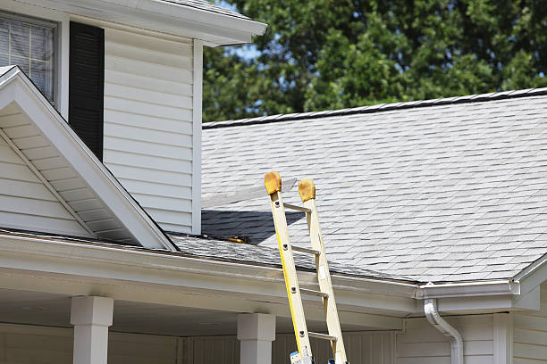 Best Steel Siding Installation  in Oakes, ND