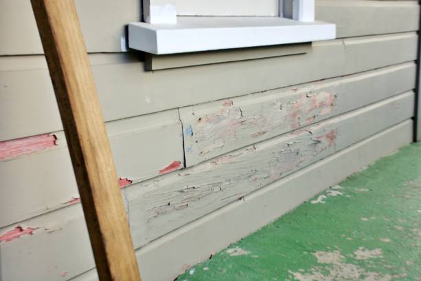 Best Siding for New Construction  in Oakes, ND