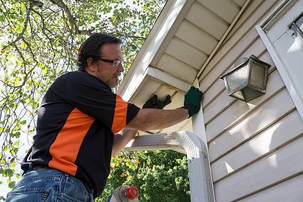 Best Insulated Siding Installation  in Oakes, ND