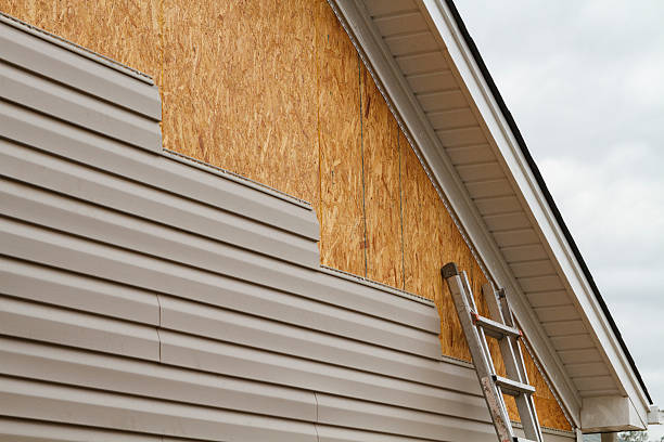Affordable siding repair and maintenance services in Oakes, ND